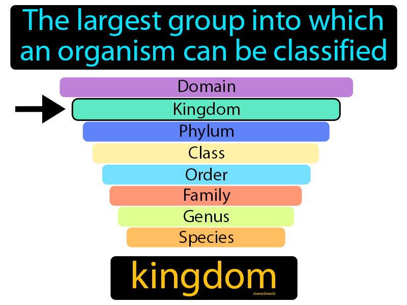 Kingdom Definition