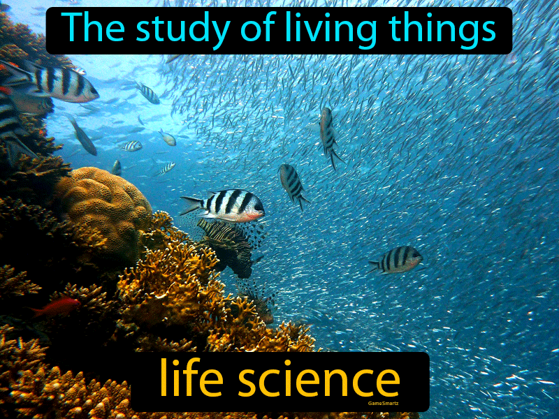 Life Science Definition