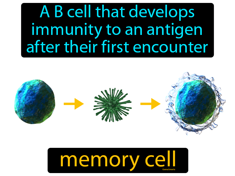 Memory Cell Definition