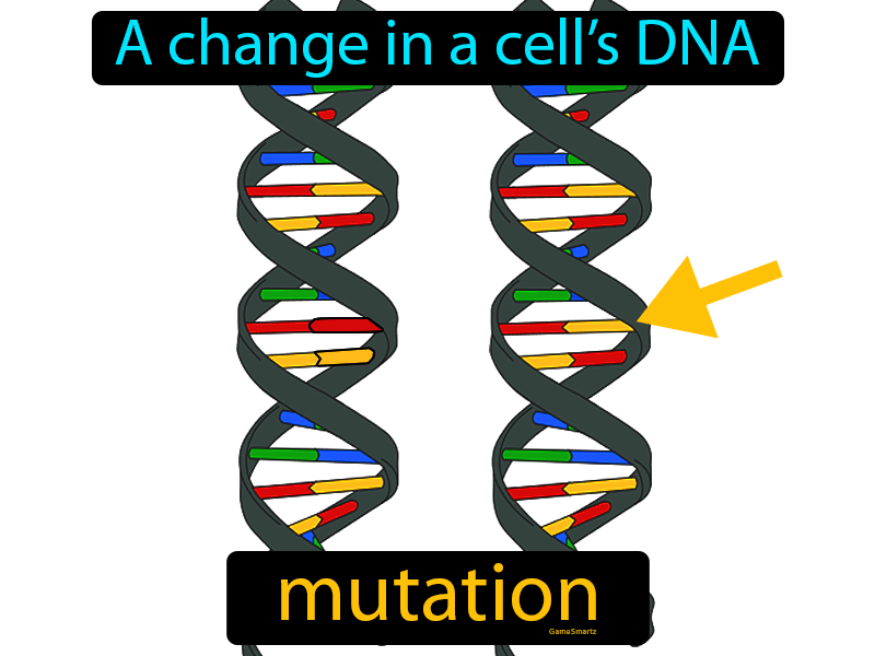 Mutation Definition