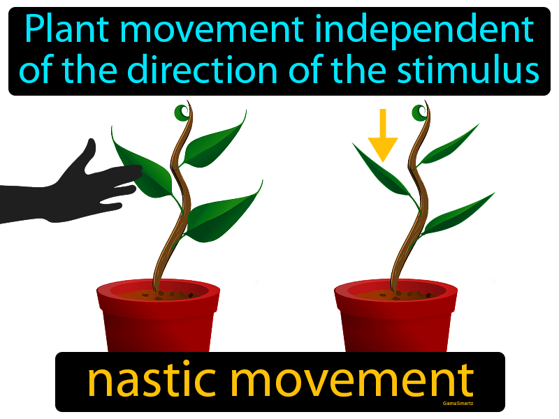Nastic Movement Definition