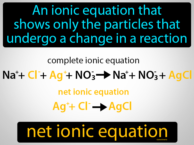 Net Ionic Equation Definition