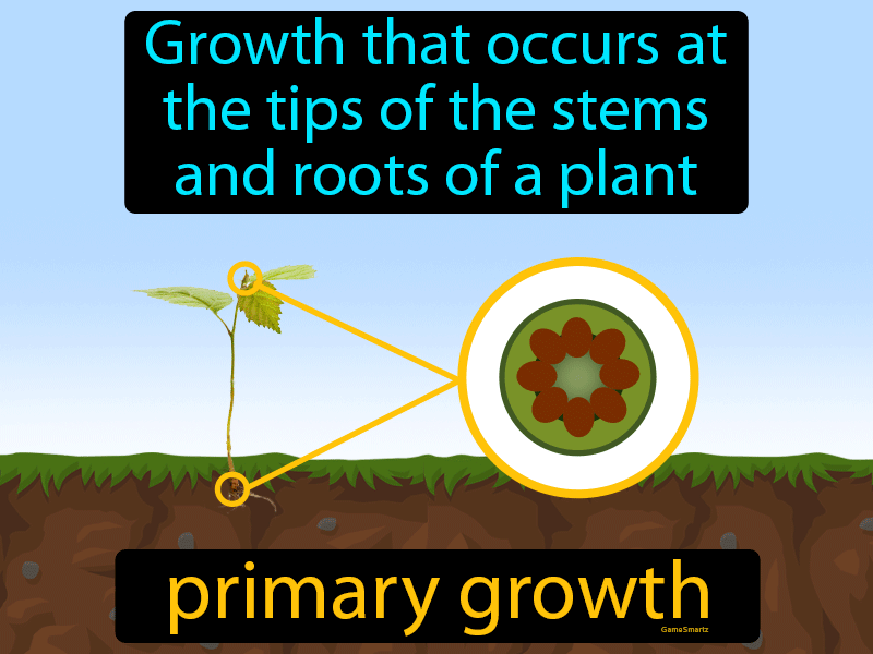 Primary Growth Definition