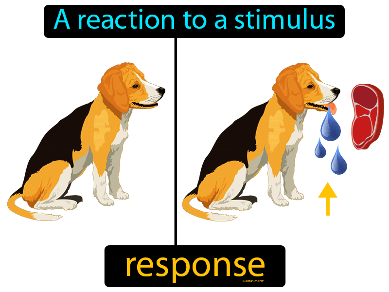 Response Definition