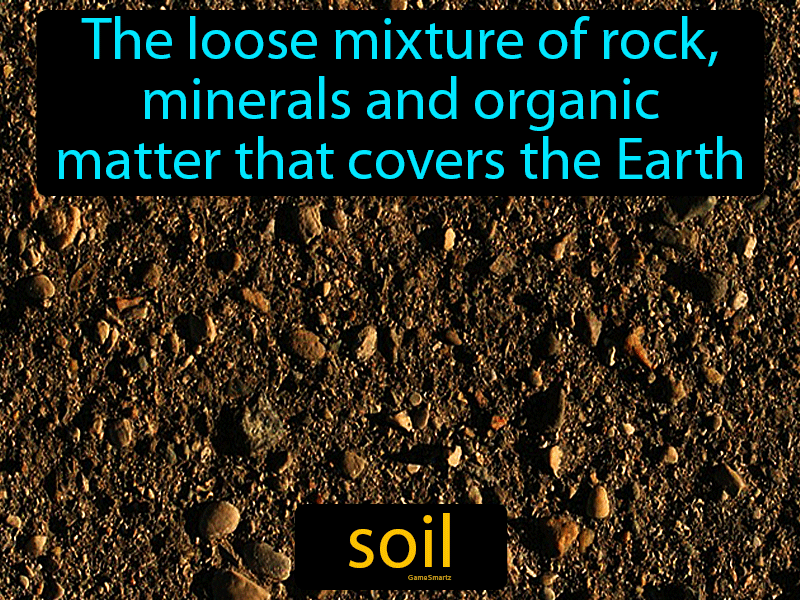Soil Definition