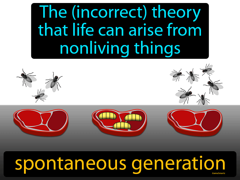 Spontaneous Generation Definition