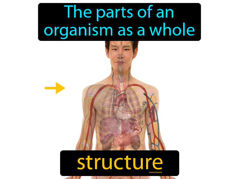 Structure Definition