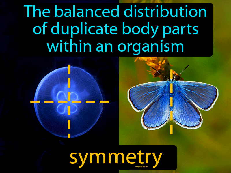 Symmetry Definition