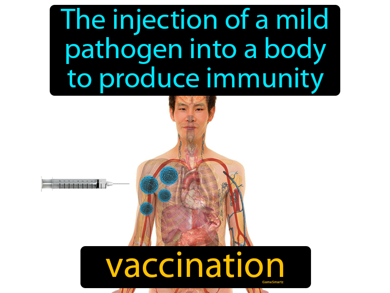 Vaccination Definition