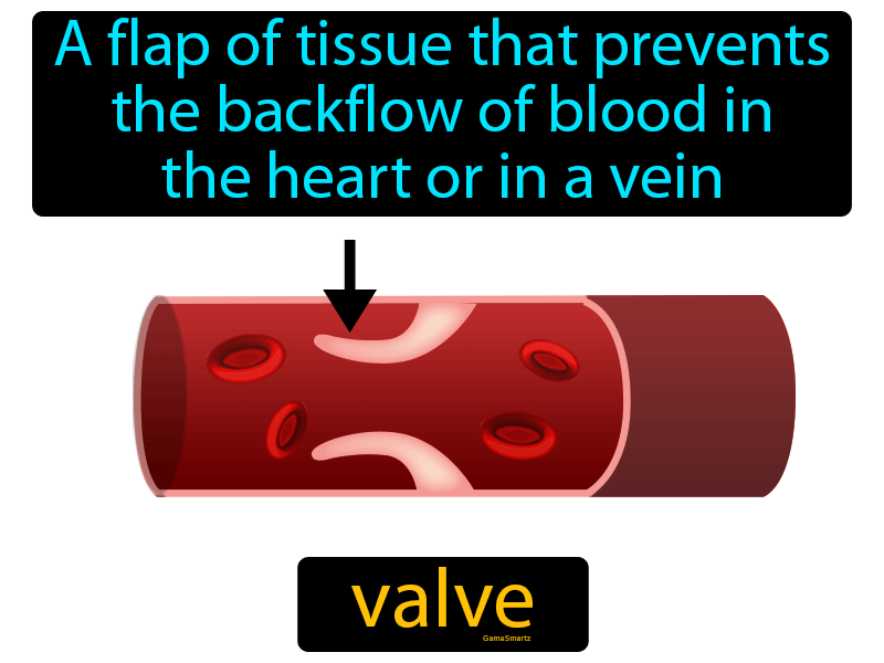 Valve Definition