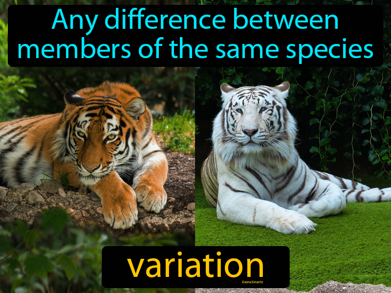 Variation Definition