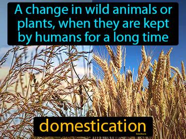 domestication Simple Definition