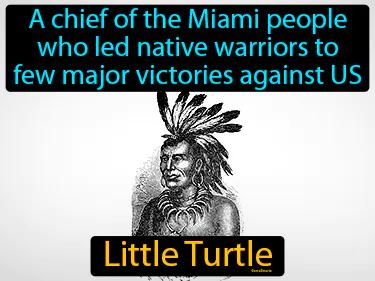 Little Turtle Simple Definition