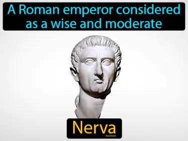 Nerva Simple Definition