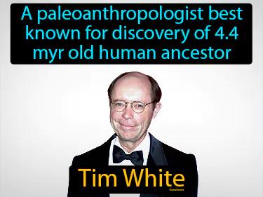 Tim White Simple Definition