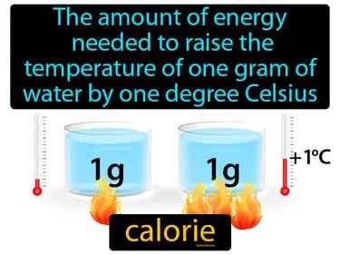 calorie Simple Definition