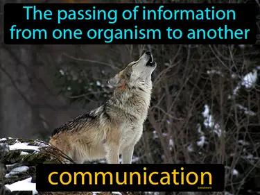 communication Simple Definition