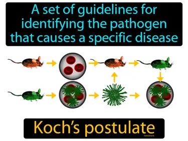 Kochs postulate Simple Definition