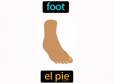 el pie Simple Definition