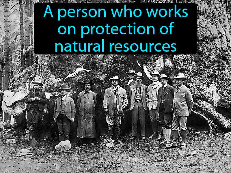 Conservationist Definition