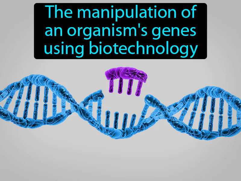 Genetic Engineering Definition