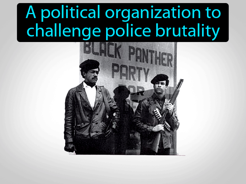 Black Panthers Definition with no text