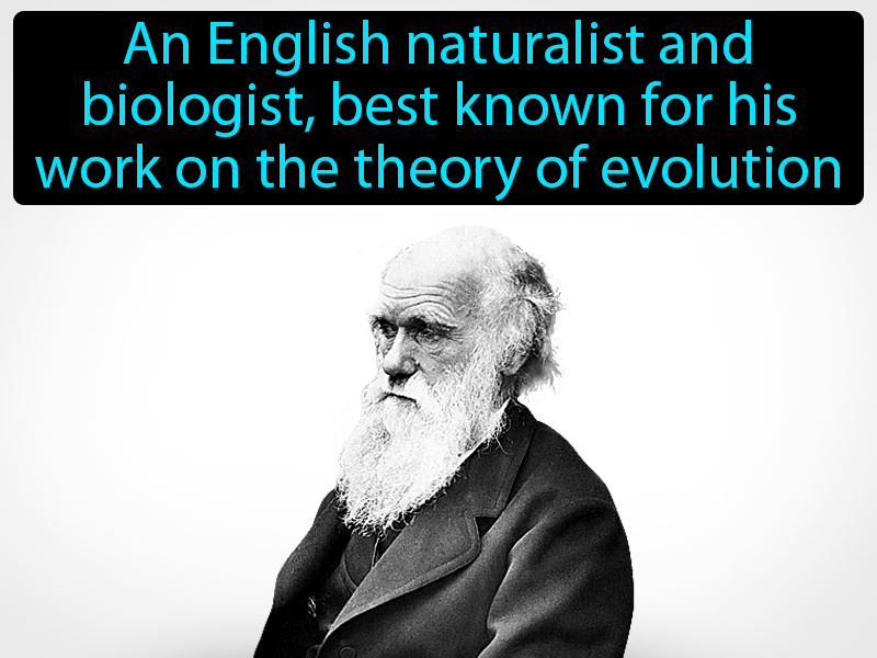 Charles Darwin Definition with no text