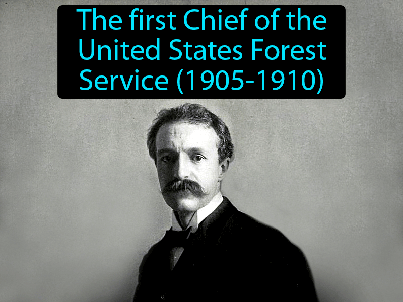 Gifford Pinchot Definition with no text