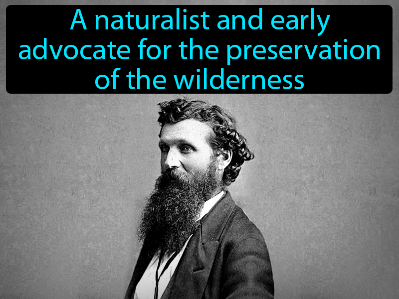 John Muir Definition with no text