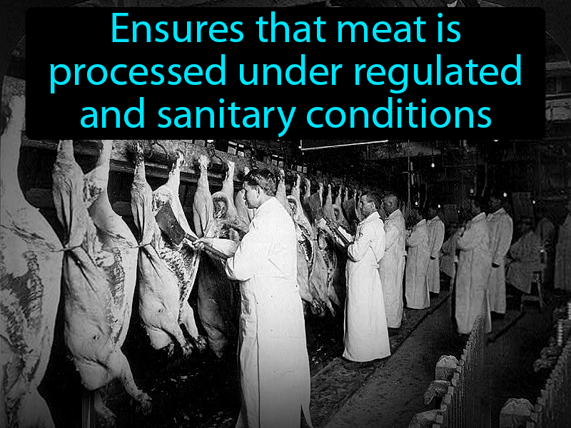 Meat Inspection Act Definition with no text