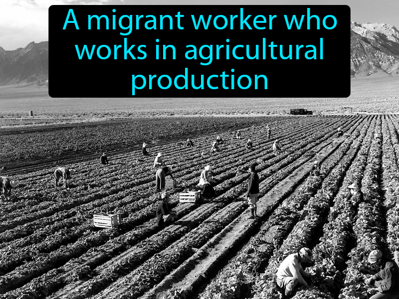 Migrant Farmworker Definition with no text