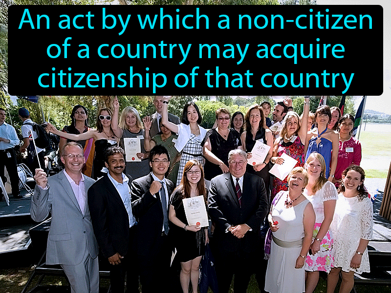 Naturalized Citizens Definition with no text