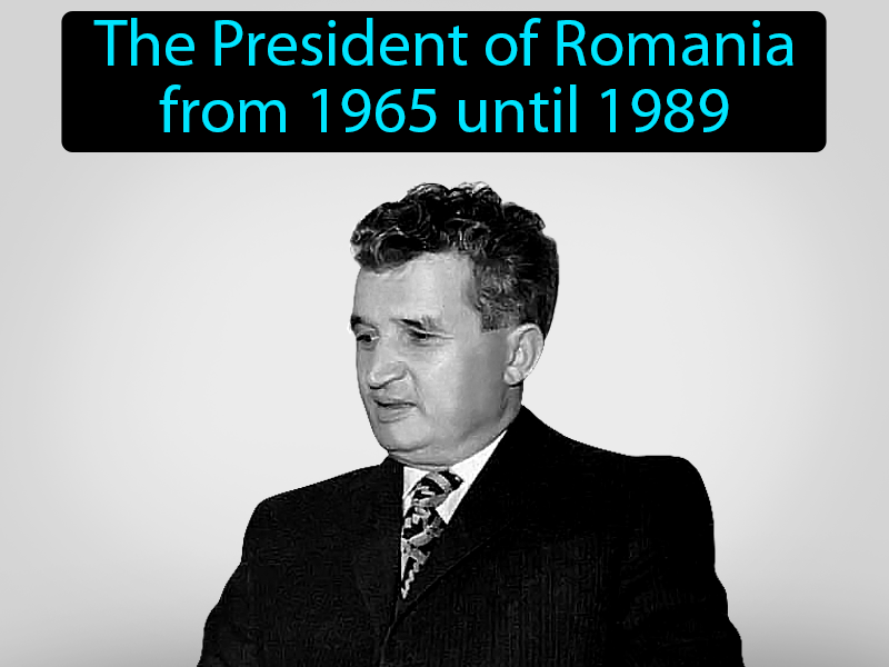 Nicolae Ceausescu Definition with no text