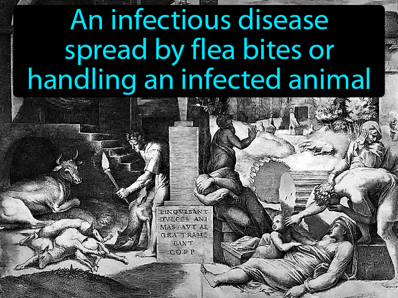 Plague Definition with no text