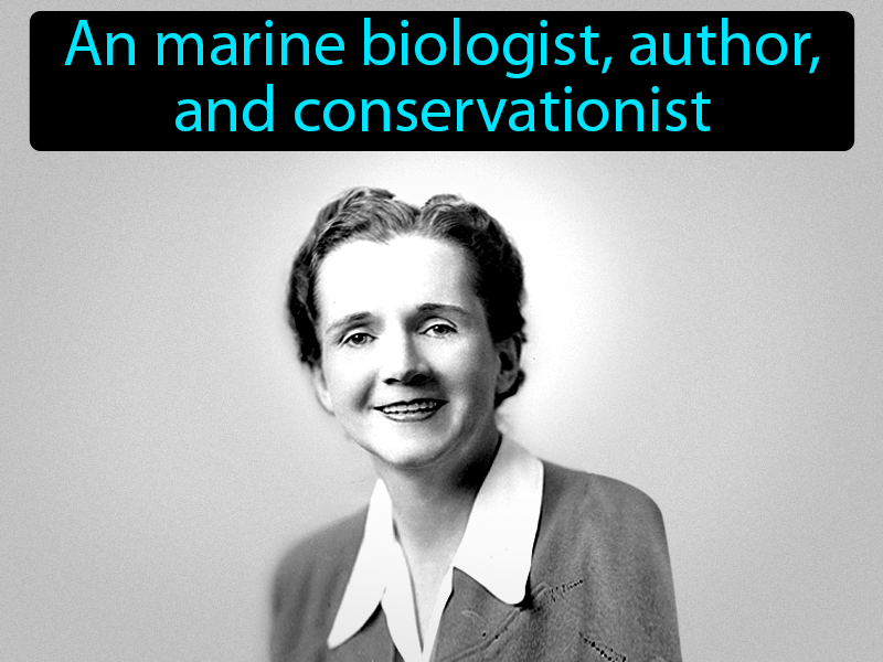 Rachel Carson Definition with no text