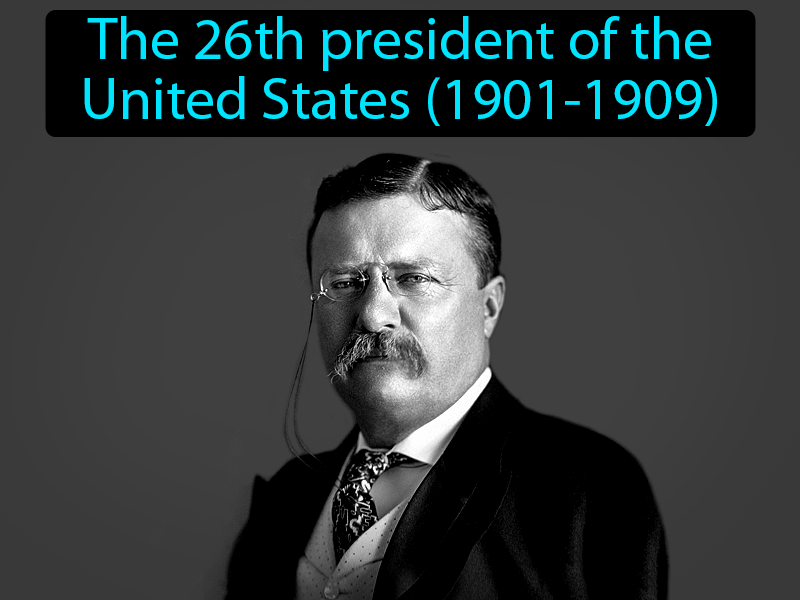 Theodore Roosevelt Definition with no text