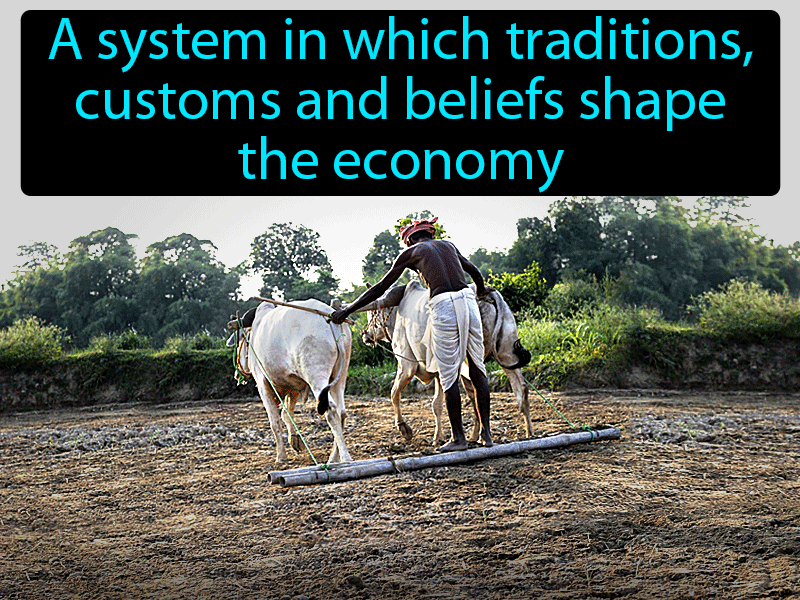 What S The Definition Of Traditional Economy