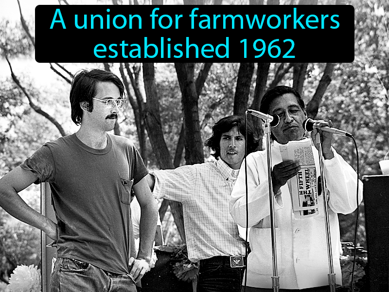 United Farm Workers Definition with no text