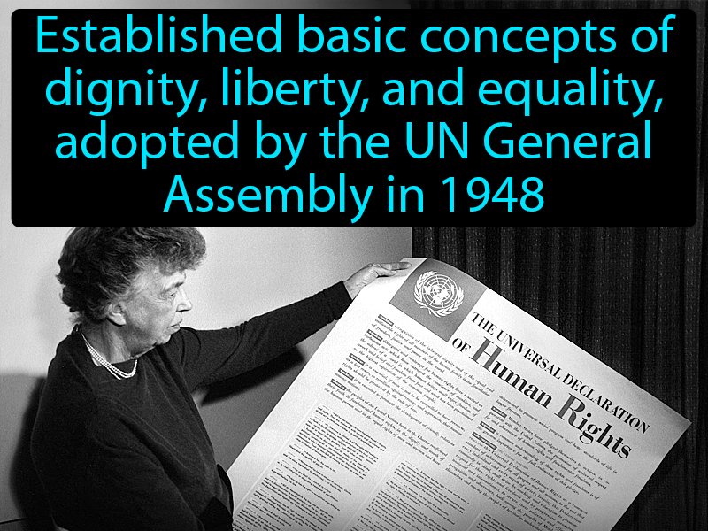 universal declaration of human rights 1948
