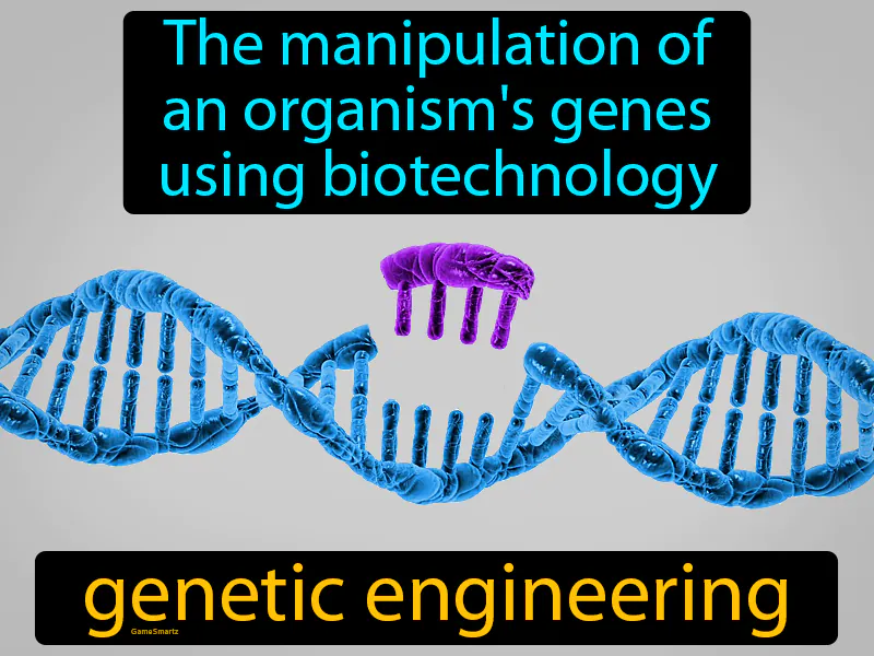 Genetic Engineering Definition