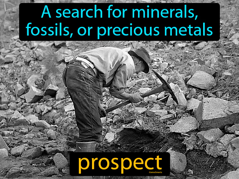 Prospect Definition Prospect Definition