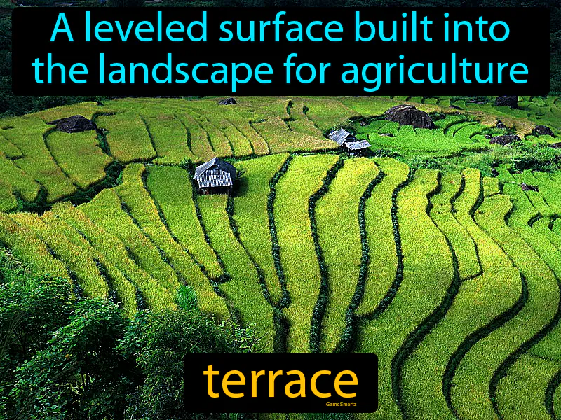 Terrace Definition