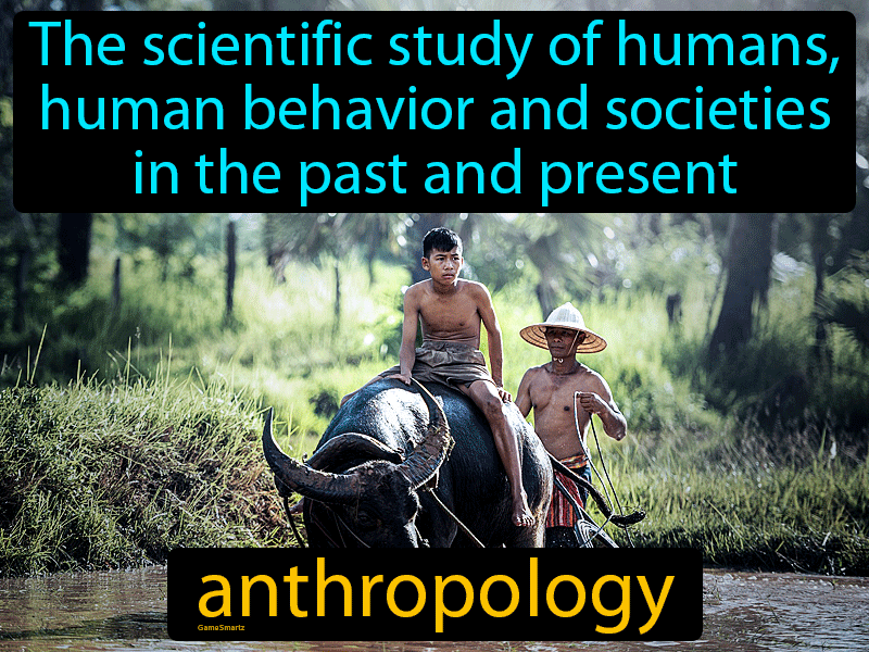 Anthropology Definition