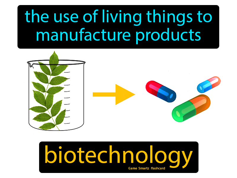 Biotechnology Definition