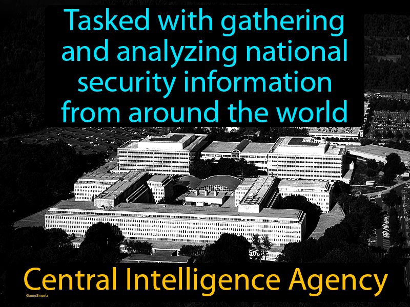 Central Intelligence Agency Definition