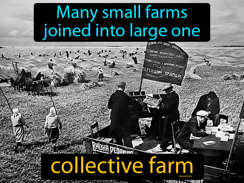 Collective Farm Definition