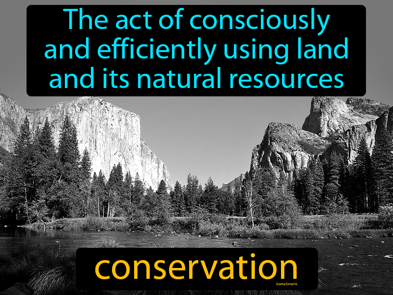 Conservation Definition