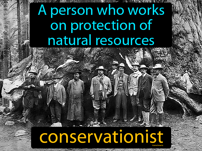 Conservationist Definition