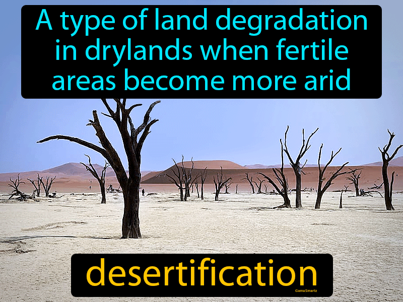 Desertification Definition