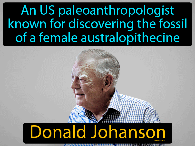 Donald Johanson Definition